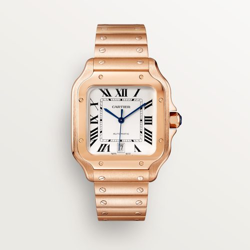 Cartier CRWGSA0018