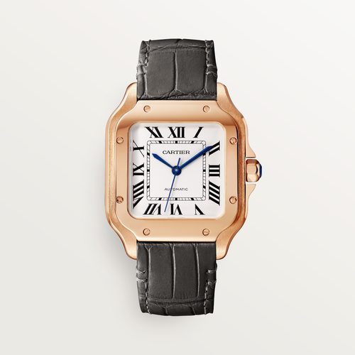 Cartier CRWGSA0028