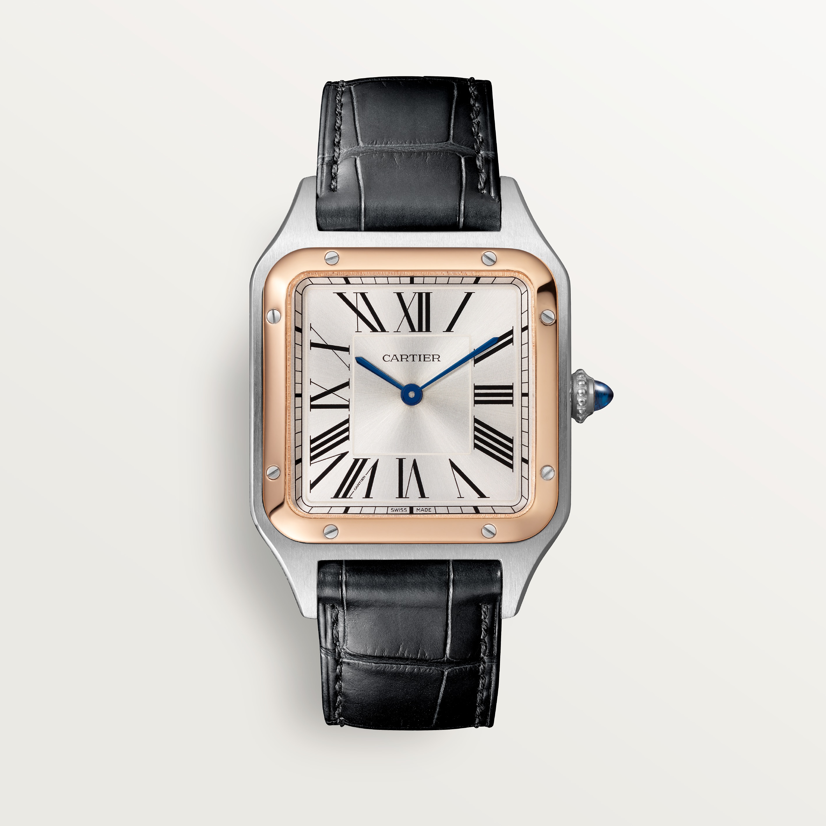 Cartier CRW2SA0037