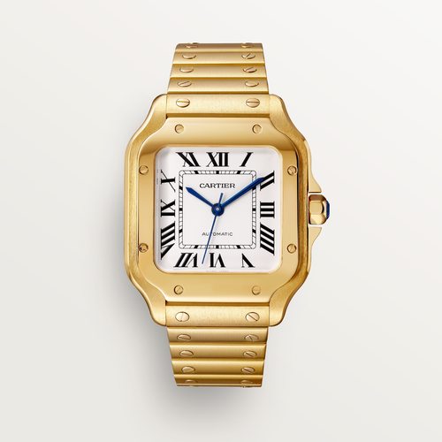 Cartier CRWGSA0030