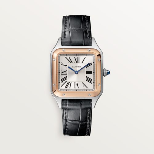 Cartier CRW2SA0038