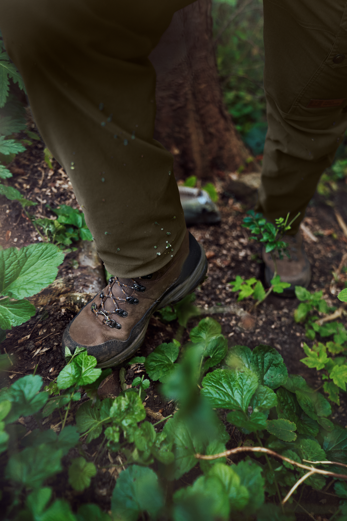 Pro Hunter Ridge GTX | Härkila