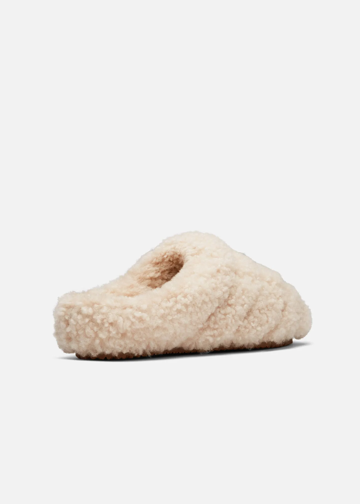Snail Shearling Mule