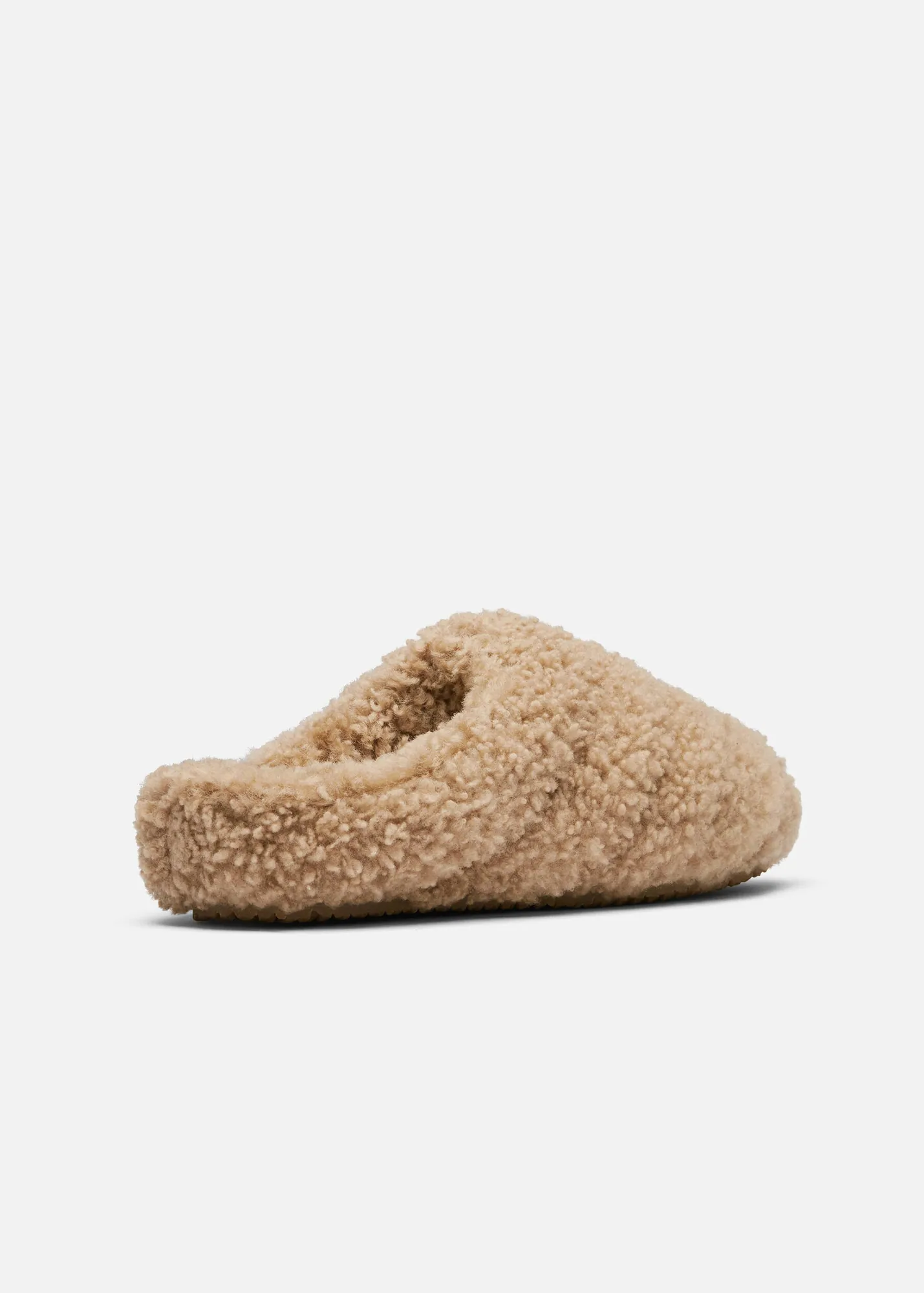 Snail Shearling Mule