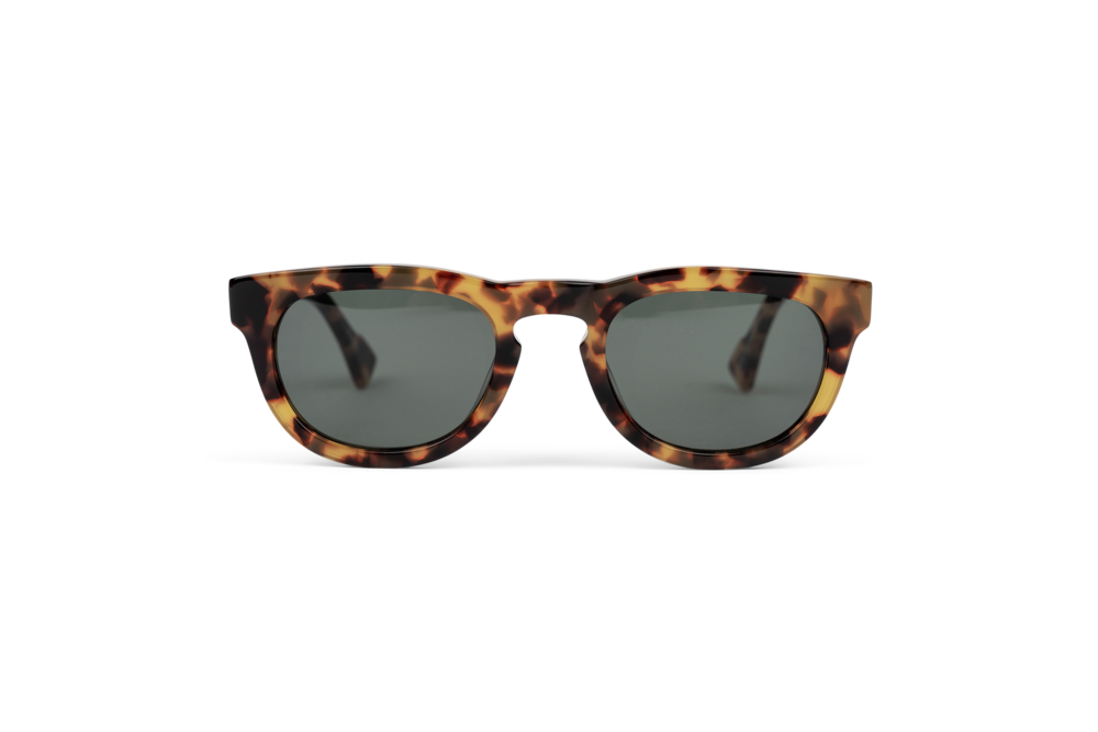 Alton D-frame Sunglasses