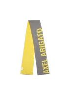 Grey/Yellow